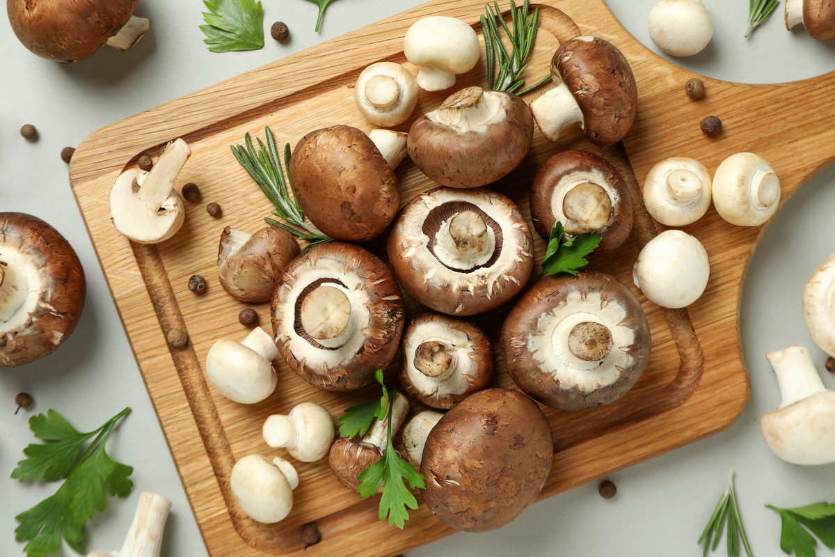 Valori nutrizionali funghi champignon quali sono e usi in cucina