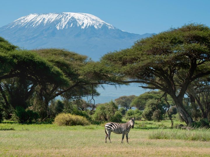 Kenya: la nuova frontiera dei viaggi senza visto!